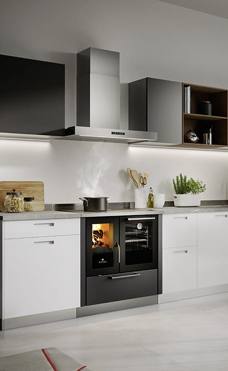 SERIE ZVI - ZVI 80 1_1